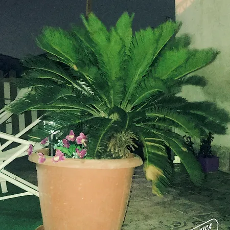 Bed & Breakfast Camelot Palermo