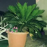 Bed and breakfast Camelot Palermo